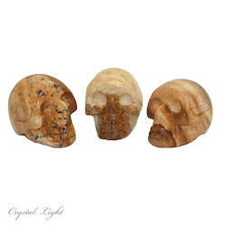 Skulls: Picture Jasper Mini Skull