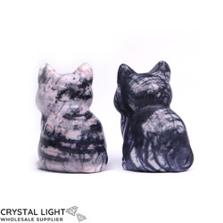 Animals: Net Jasper Cat