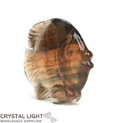 Animals: Yellow Fluorite Fish