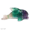 Rainbow Fluorite Dolphin Large