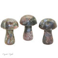 Llanite Mushroom