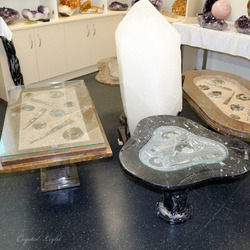Crystal Furniture: Orthoceras & Goniatite Fossil Table