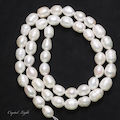Freshwater Pearl Beads- Cream